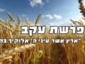 ORMA עִקְבָה (‘Ikvàh)