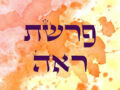 TREGUA הֲפוּגָה (Hafugàh)